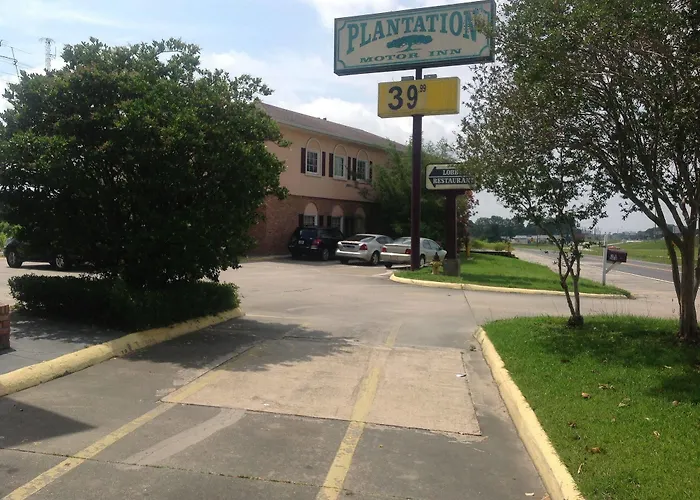 Plantation 2*